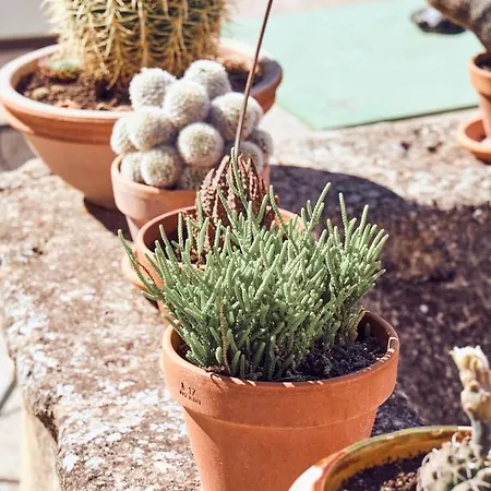 Casa de Campo De L Orange